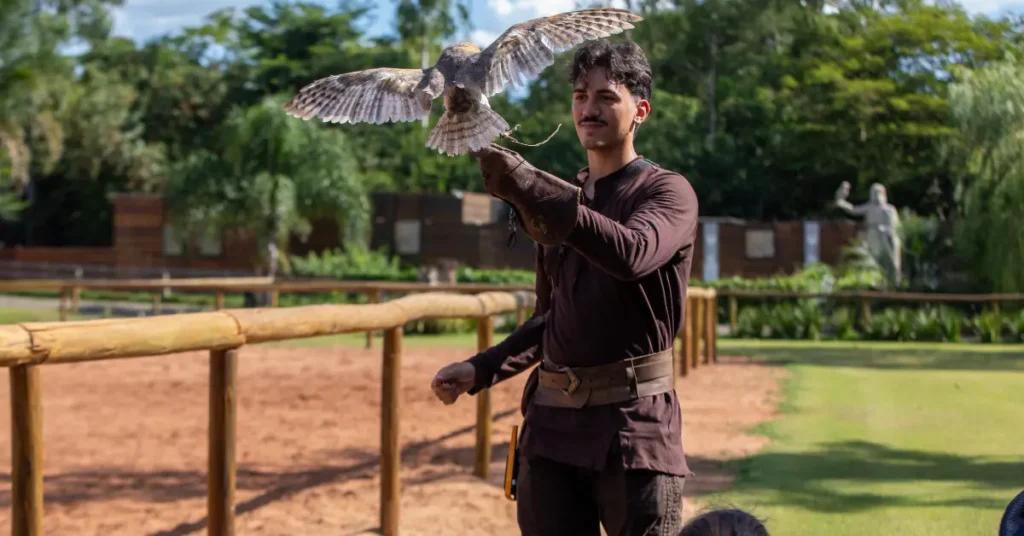 Blog cover: Foz do Iguaçu Zoo - the owl's flight