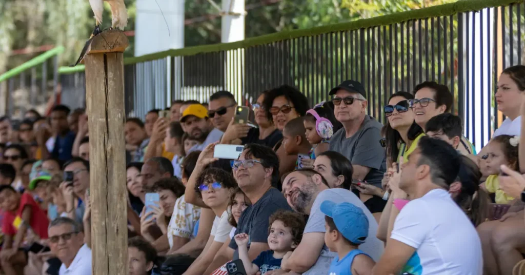 Capa do blog: dia dos pais zoo park foz