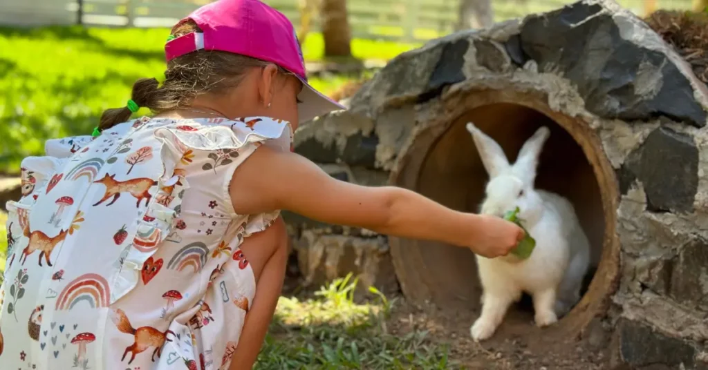 capa do blog: ecoelhos no zoo park foz